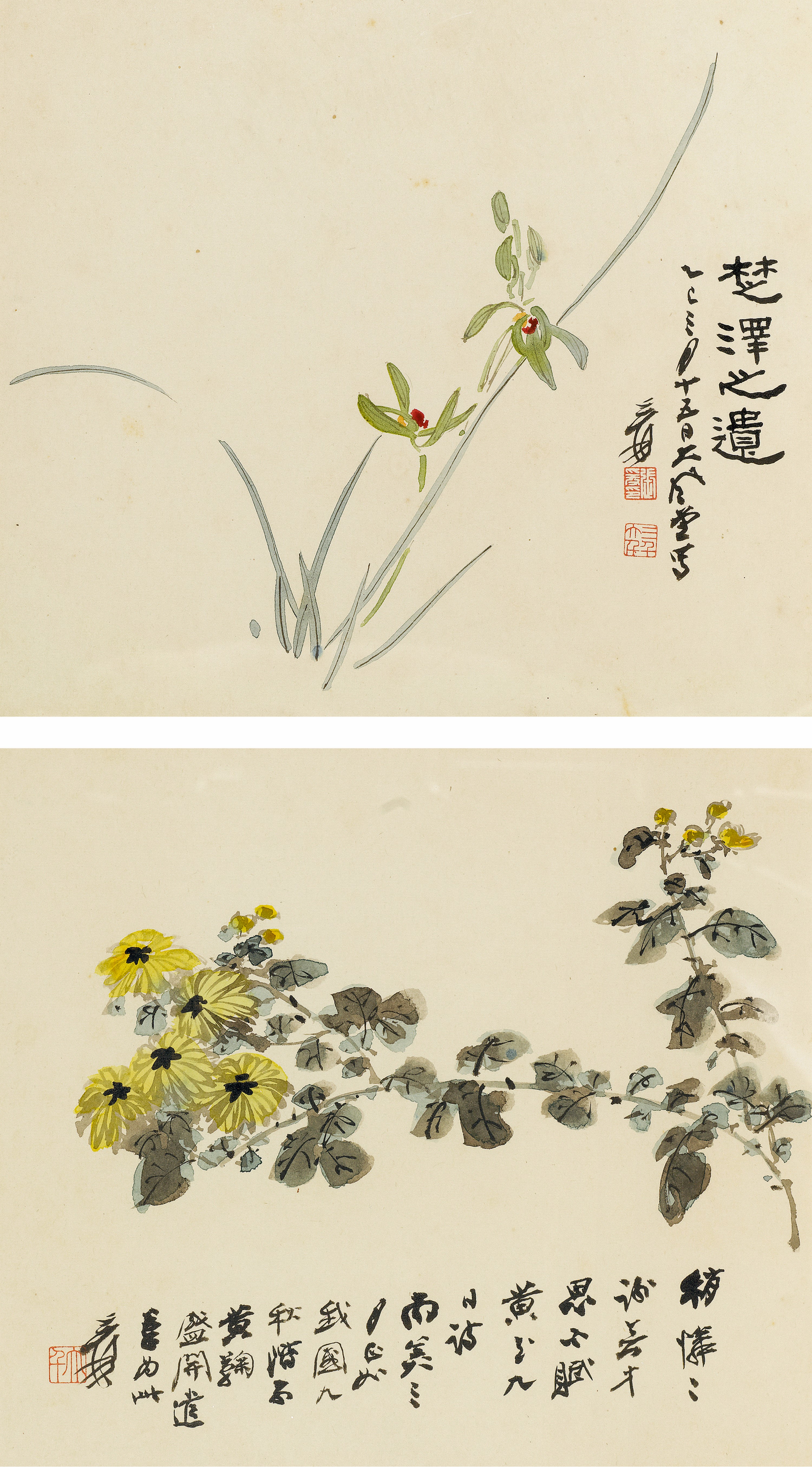 "張大千 (1899-1983) 幽蘭·秋菊"